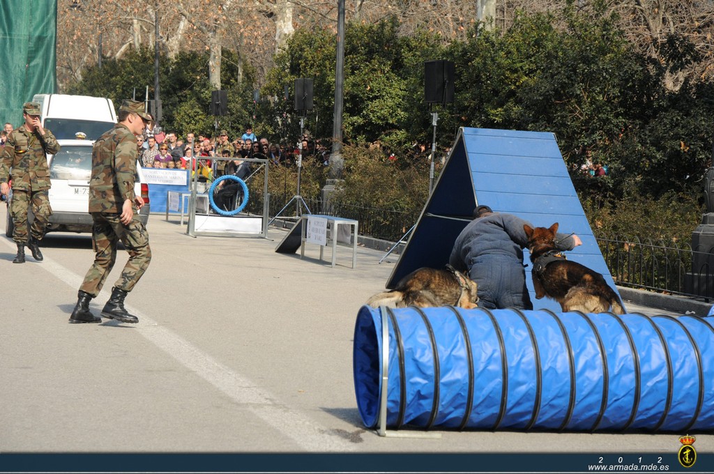 Madrid - Exhibición de la Unidad Canina, Unidad de escoltas y Equipos Operativos de Seguridad